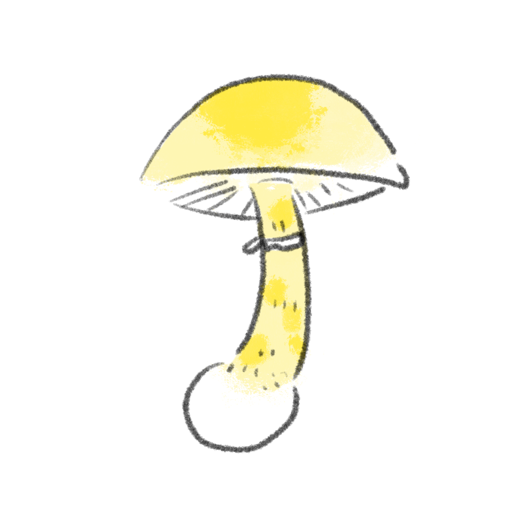 タマゴタケモドキの中毒事例