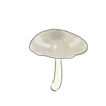 クサウラベニタケの中毒事例