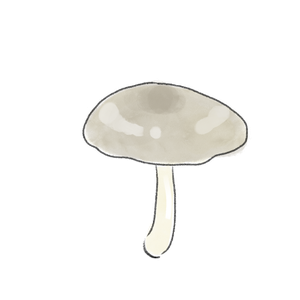 クサウラベニタケの中毒事例