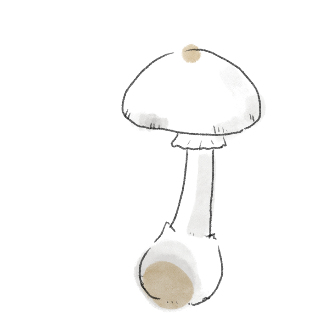 ドクツルタケの中毒事例