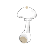 ドクツルタケの中毒事例